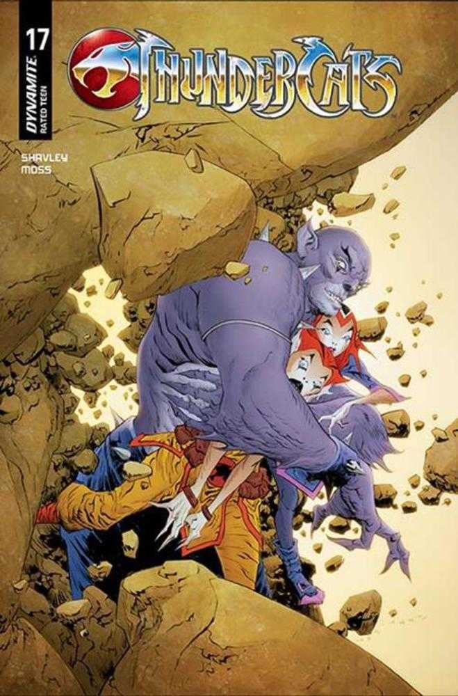 Thundercats #17 Cover C Jae Lee June Chung Variant