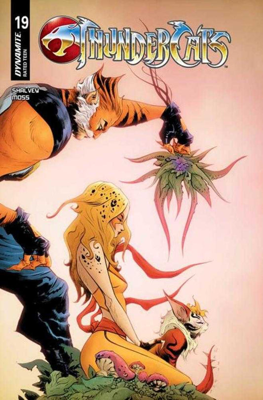 Thundercats #19 Cover C Jae Lee June Chung Variant