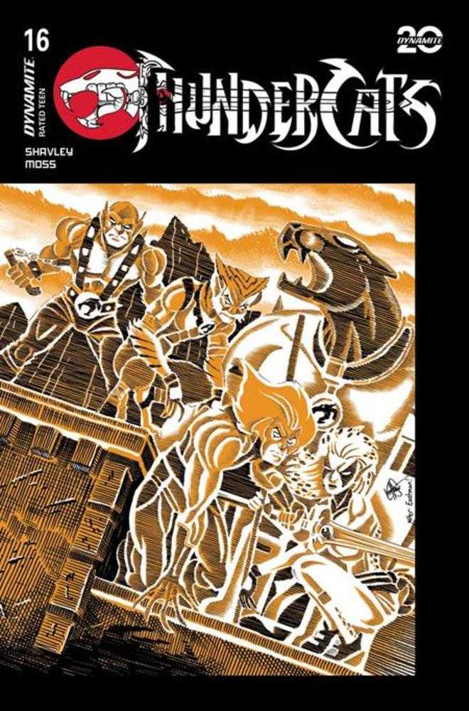 Thundercats #16 Cover G Ken Haeser Teenage Mutant Ninja Turtles Homage Variant