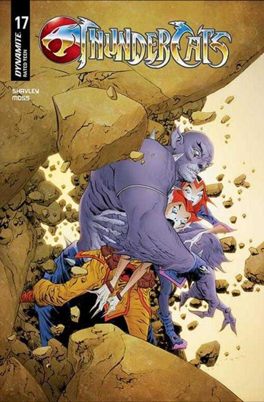 Thundercats #17 Cover C Jae Lee June Chung Variant