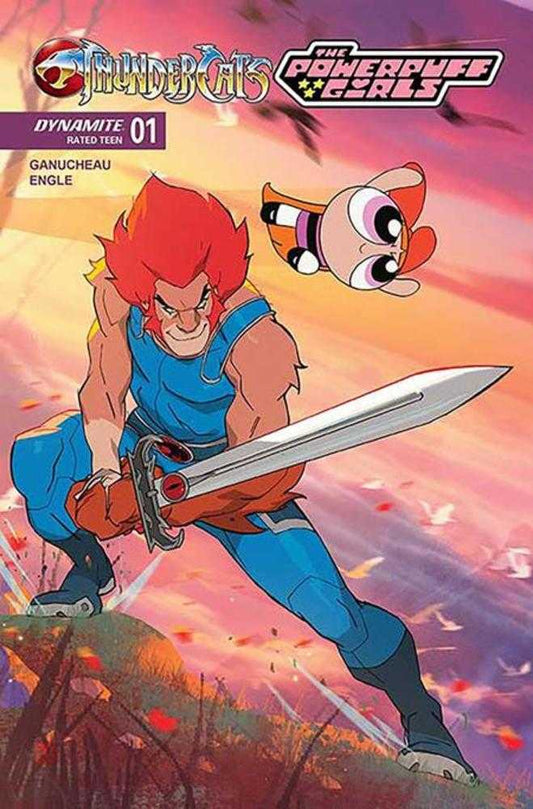 Thundercats Powerpuff Girls #1 Cover C Coran Kizer Stone Variant