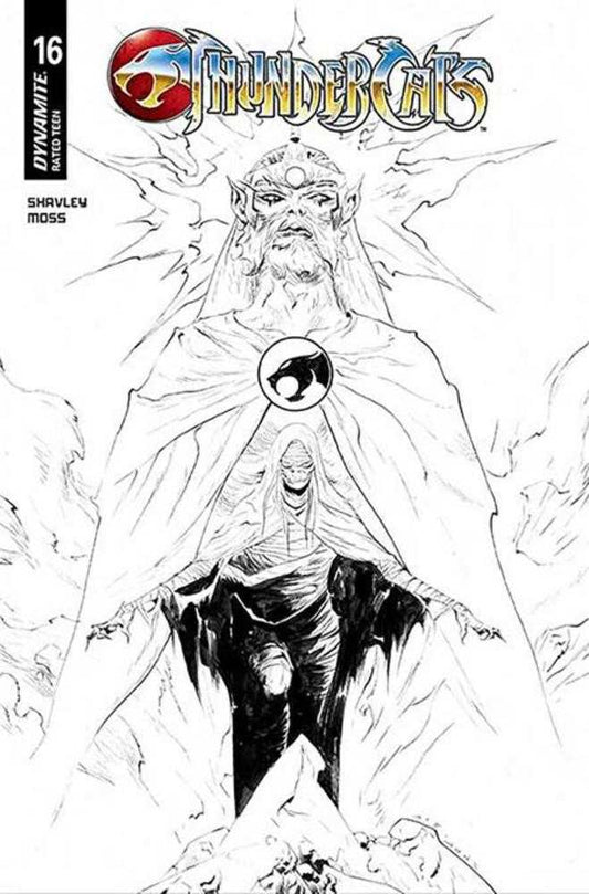 Thundercats #16 Cover W Jae Lee Line Art Foc Bonus Variant
